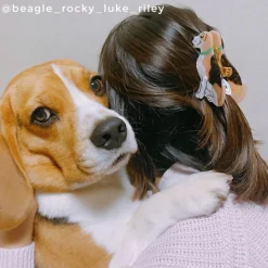 Coucou Suzette Beagle Hair Claw* Hair Claws