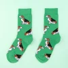 Coucou Suzette Beagle Socks* Cotton Socks