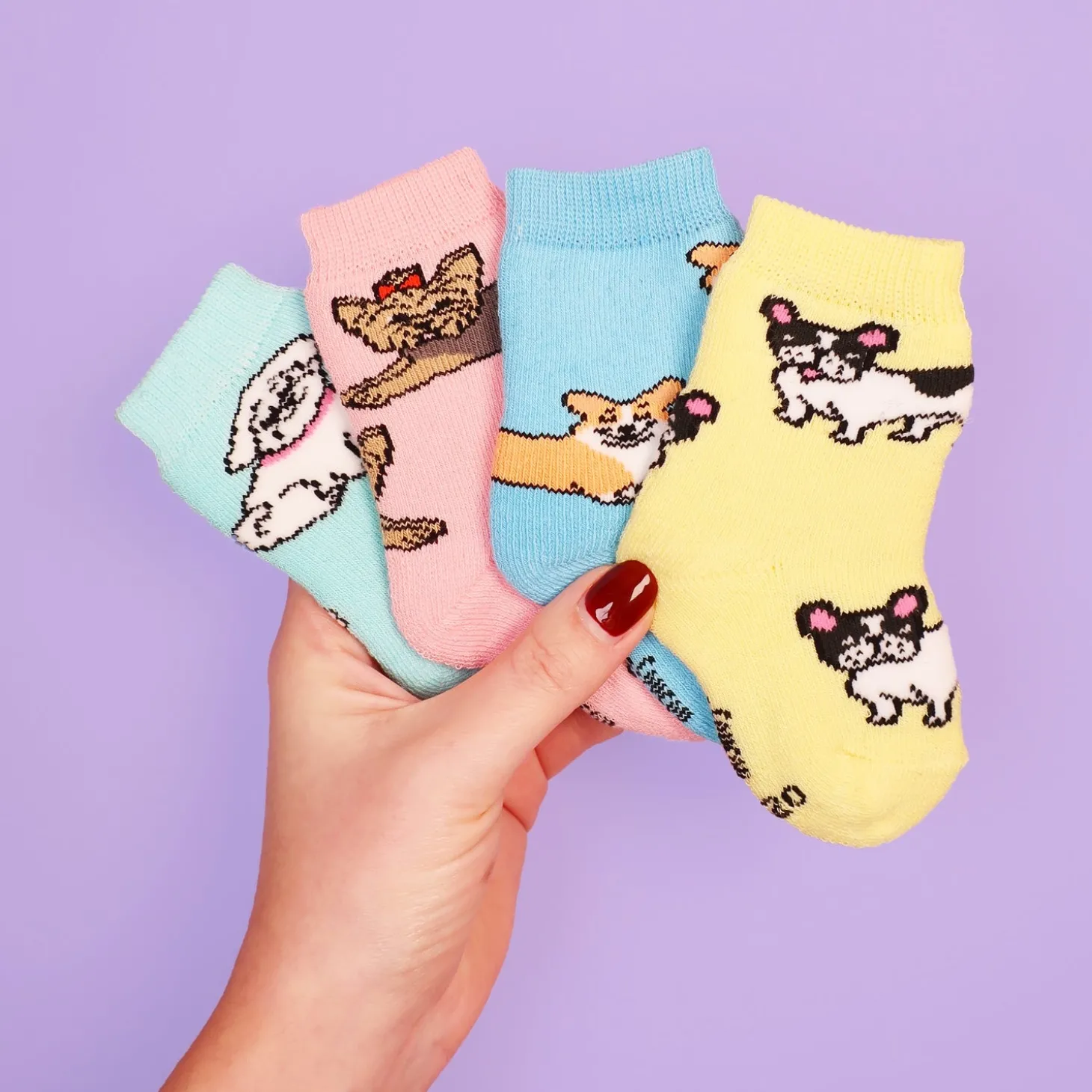 Coucou Suzette Bichon Socks - Baby* Kids Socks