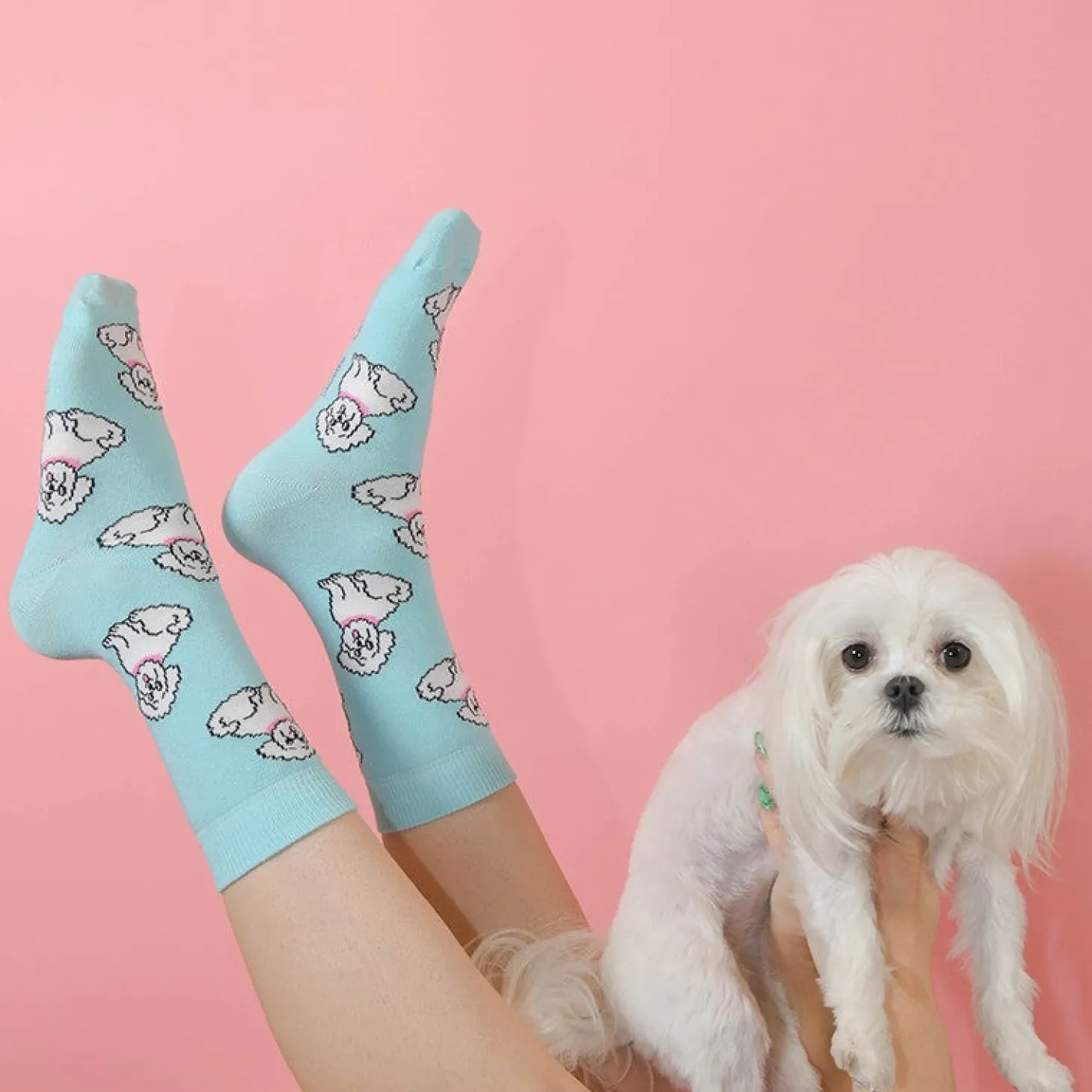 Coucou Suzette Bichon Socks - Baby* Kids Socks