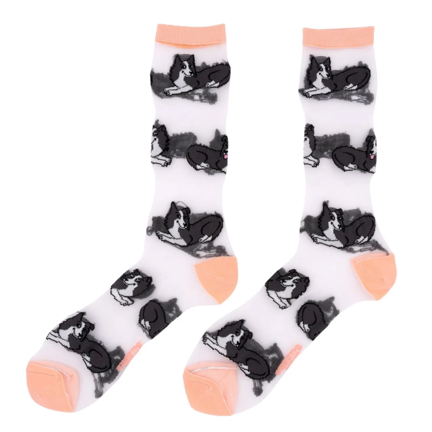 Coucou Suzette Border Collie Sheer Socks* Sheer Socks