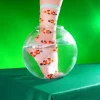 Coucou Suzette Clownfish Sheer Socks* Sheer Socks