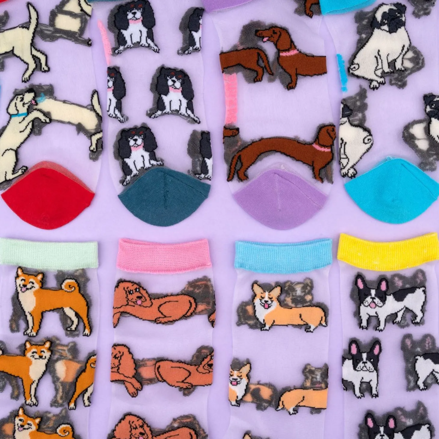 Coucou Suzette Corgi Sheer Socks* Sheer Socks