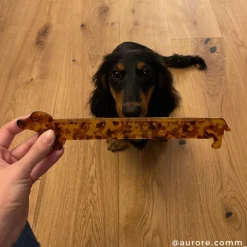 Coucou Suzette Dachshund Ruler* Stationery