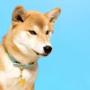 Coucou Suzette Shiba Key Ring / Pet Tag* Key Rings