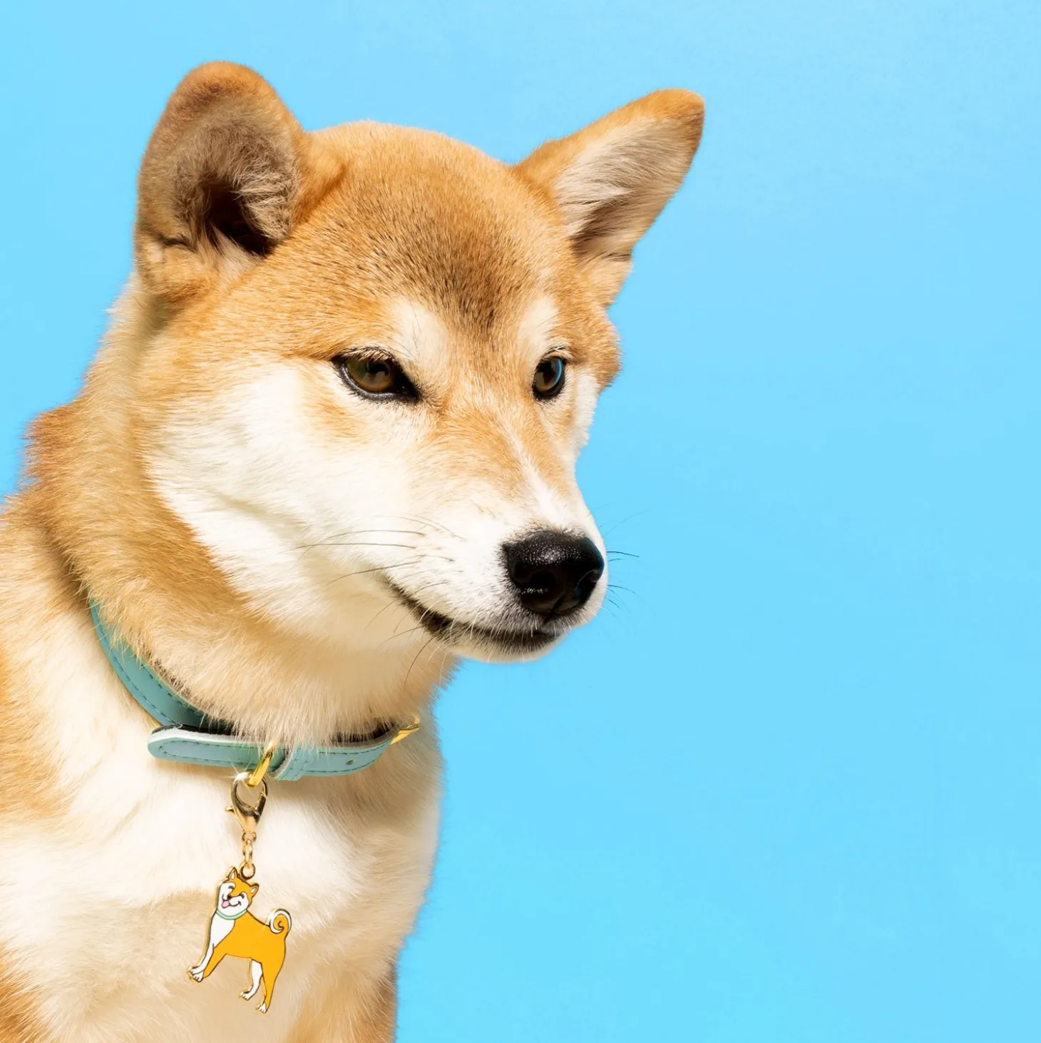 Coucou Suzette Shiba Key Ring / Pet Tag* Key Rings
