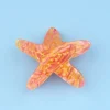 Coucou Suzette Starfish Hair Claw* Hair Claws